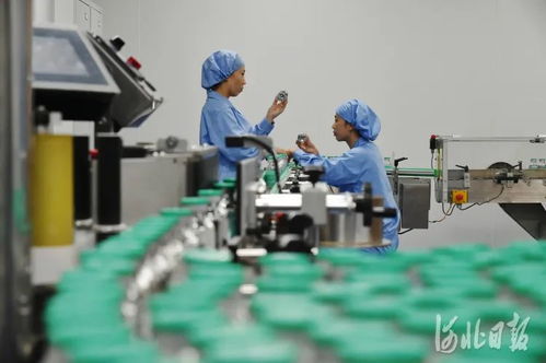 創(chuàng)新之路 技術(shù)開發(fā)的靈魂與引擎